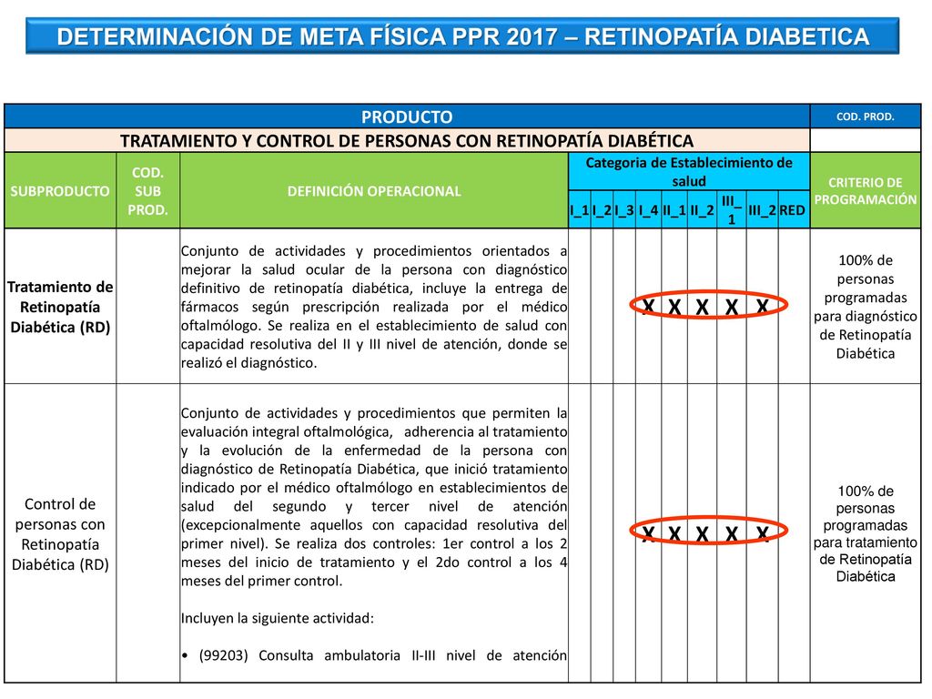 X DETERMINACIÓN DE META FÍSICA PPR 2017 – RETINOPATÍA DIABETICA