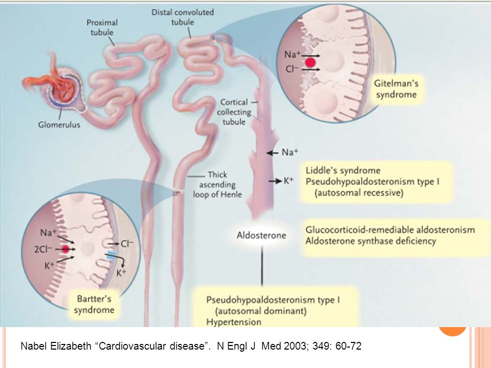 Nabel Elizabeth Cardiovascular disease . N Engl J Med 2003; 349: 60-72