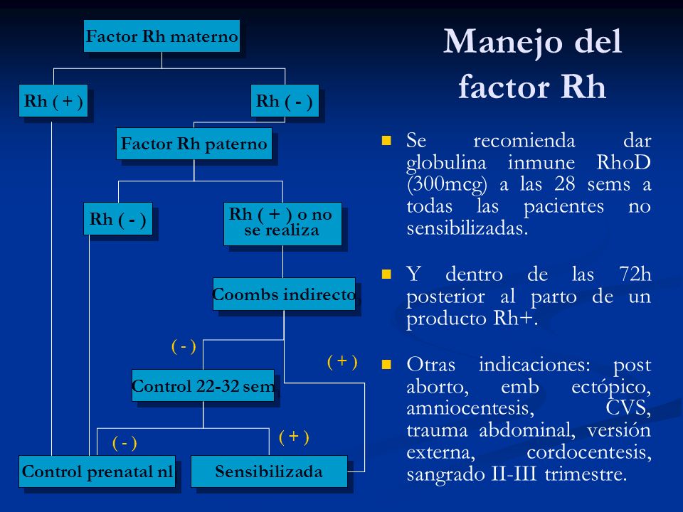 Factor Rh materno Manejo del factor Rh. Rh ( + ) Rh ( - ) Factor Rh paterno.