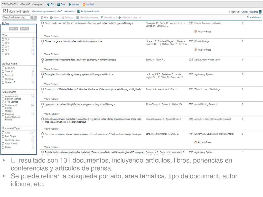 El resultado son 131 documentos, incluyendo artículos, libros, ponencias en conferencias y artículos de prensa.