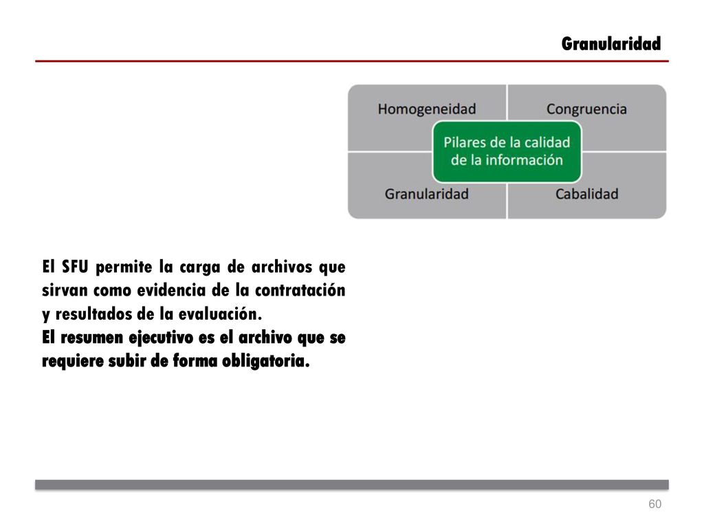 Granularidad El SFU permite la carga de archivos que sirvan como evidencia de la contratación y resultados de la evaluación.