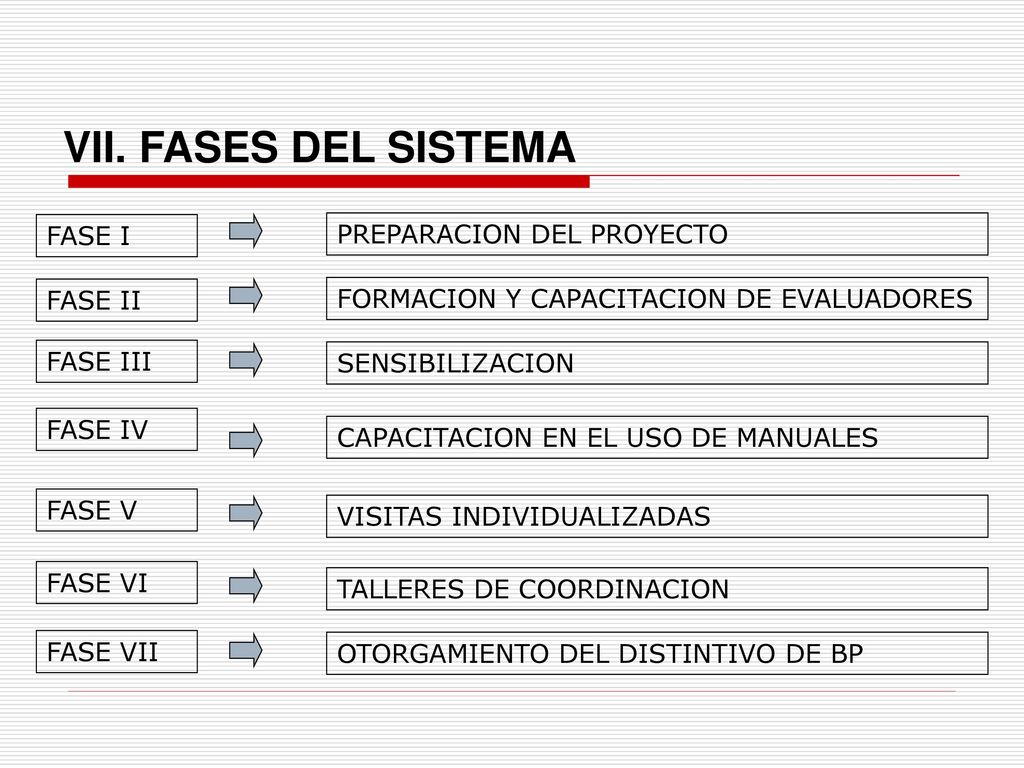 VII. FASES DEL SISTEMA FASE I PREPARACION DEL PROYECTO FASE II