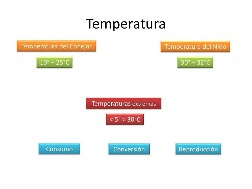 Temperatura Temperatura del Conejar Temperatura del Nido 10° – 25°C