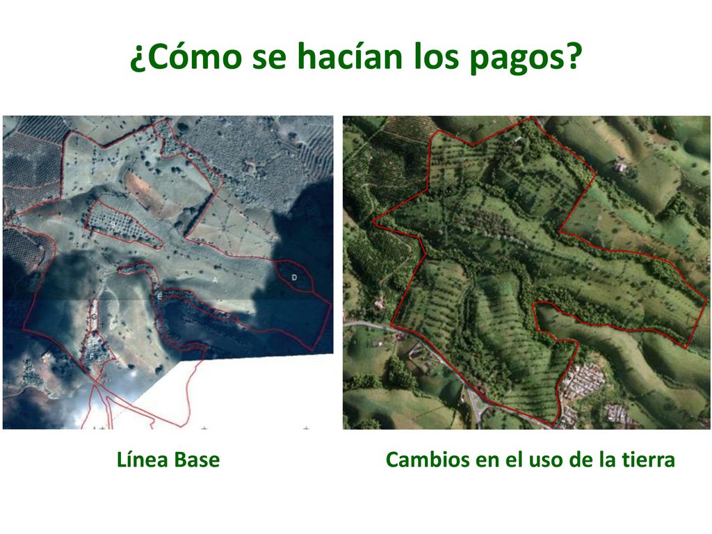 ¿Cómo se hacían los pagos Cambios en el uso de la tierra
