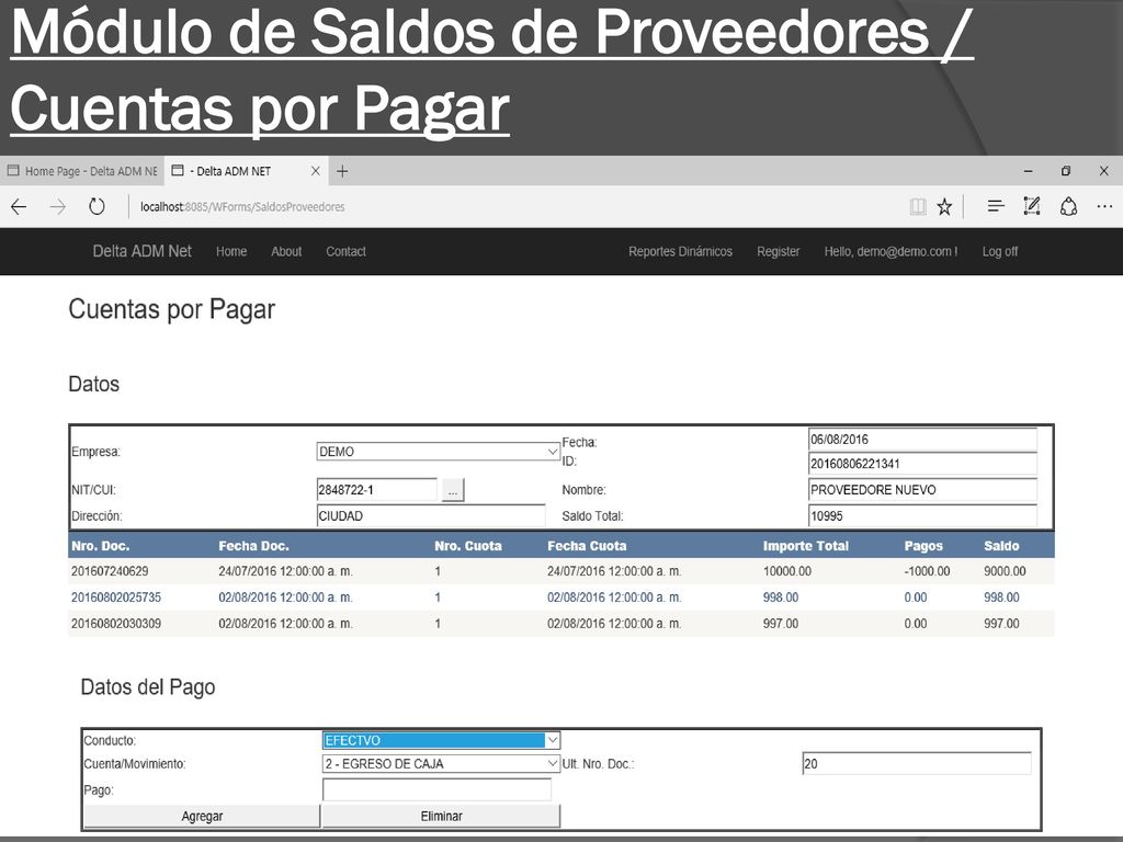 Módulo de Saldos de Proveedores / Cuentas por Pagar