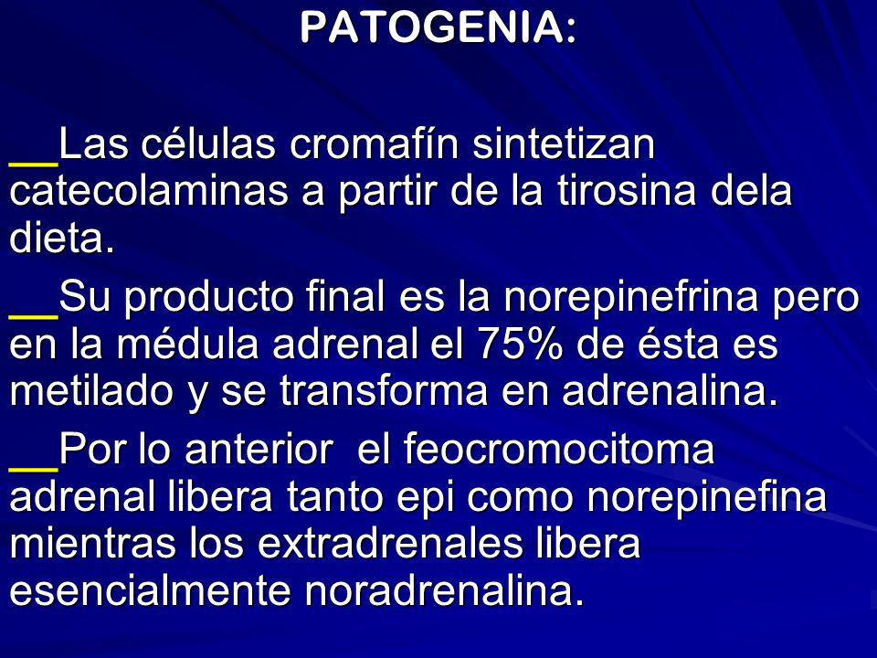 PATOGENIA: __Las células cromafín sintetizan catecolaminas a partir de la tirosina dela dieta.