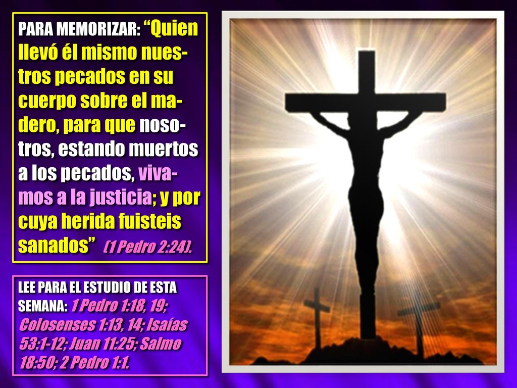 PARA MEMORIZAR: Quien llevó él mismo nues-tros pecados en su cuerpo sobre el ma-dero, para que noso-tros, estando muertos a los pecados, viva-mos a la justicia; y por cuya herida fuisteis sanados (1 Pedro 2:24).
