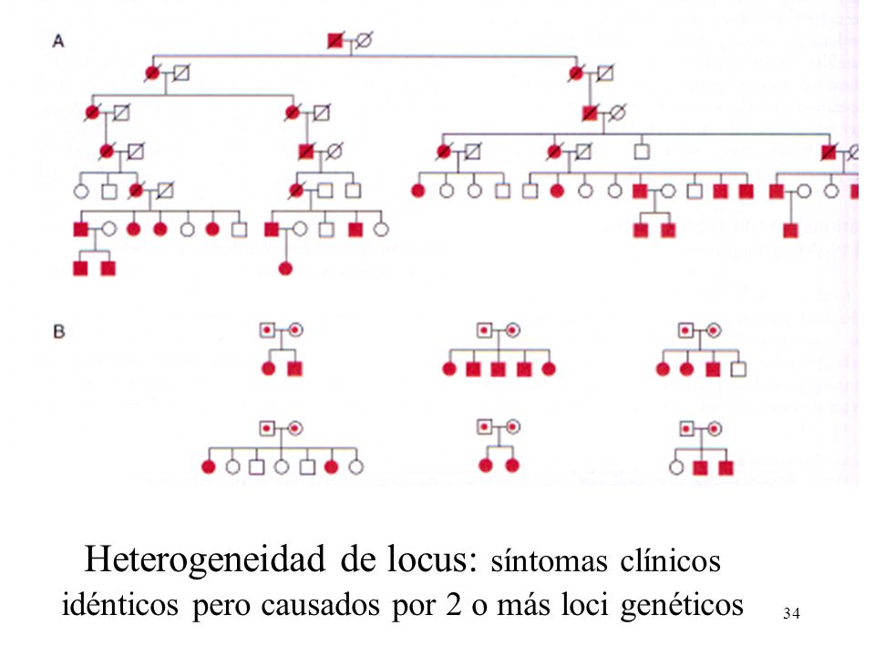 Dos tipos de familias pueden considerarse
