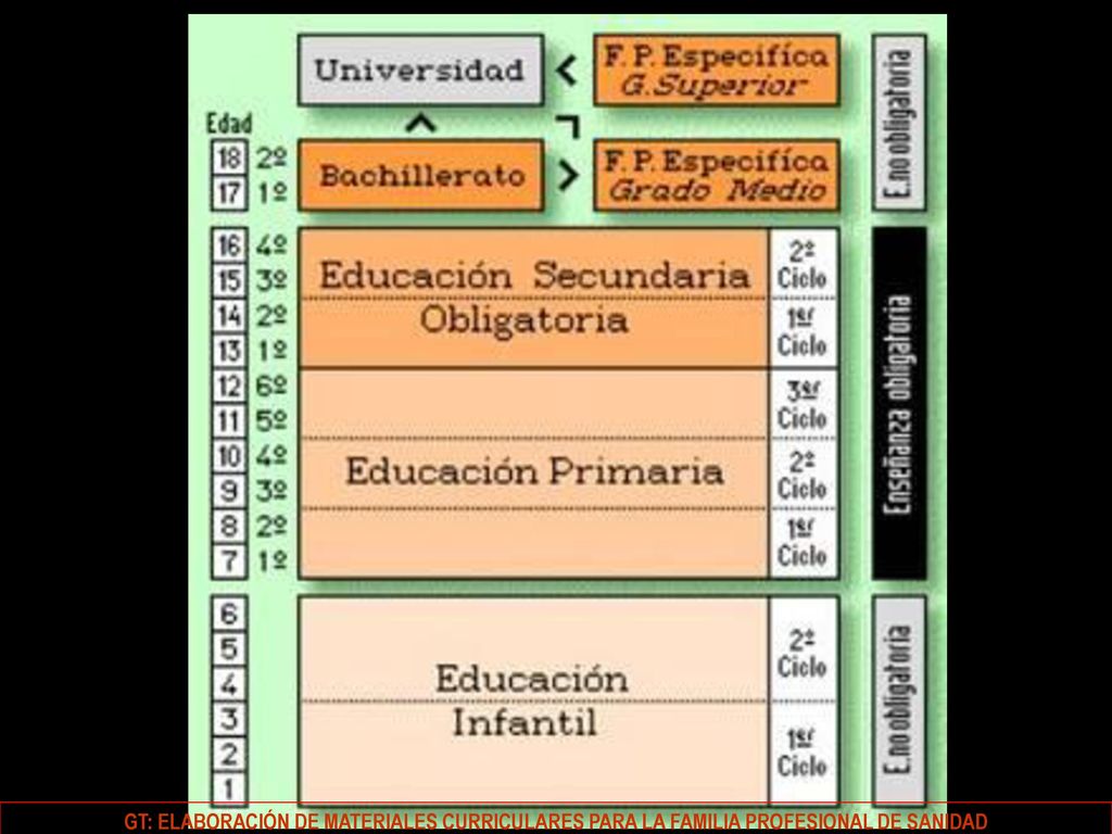 GT: ELABORACIÓN DE MATERIALES CURRICULARES PARA LA FAMILIA PROFESIONAL DE SANIDAD
