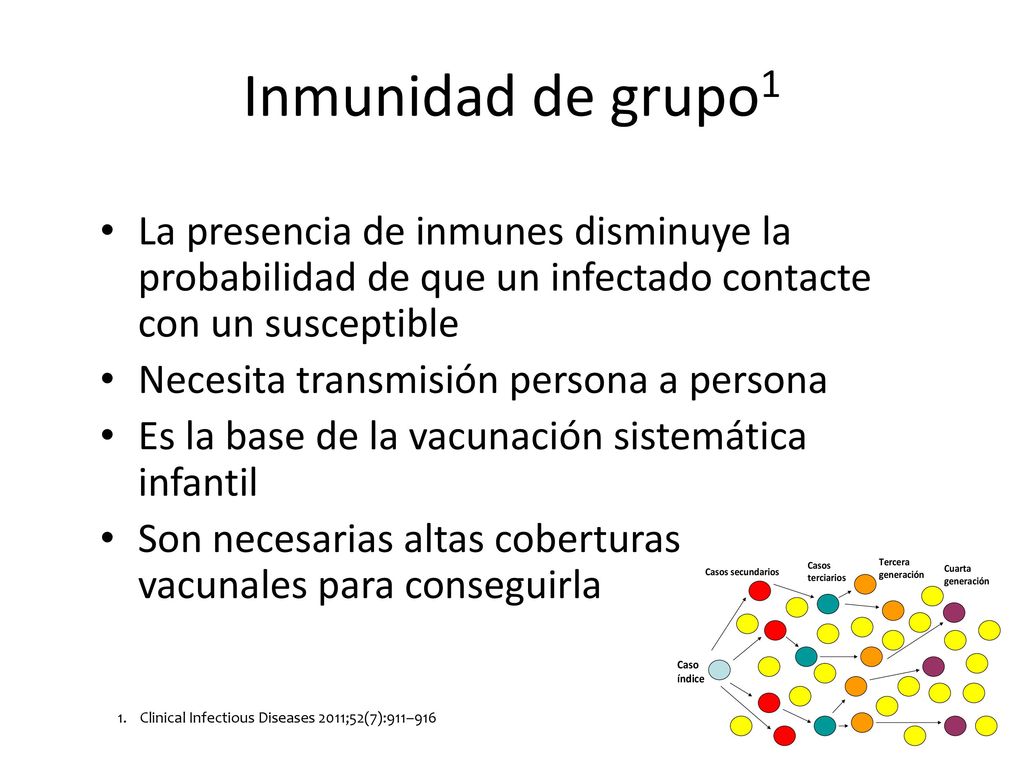Inmunidad de grupo1 La presencia de inmunes disminuye la probabilidad de que un infectado contacte con un susceptible.