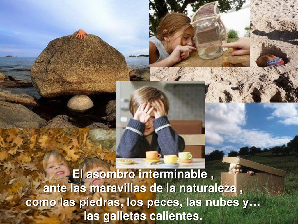 El asombro interminable , ante las maravillas de la naturaleza , como las piedras, los peces, las nubes y… las galletas calientes.