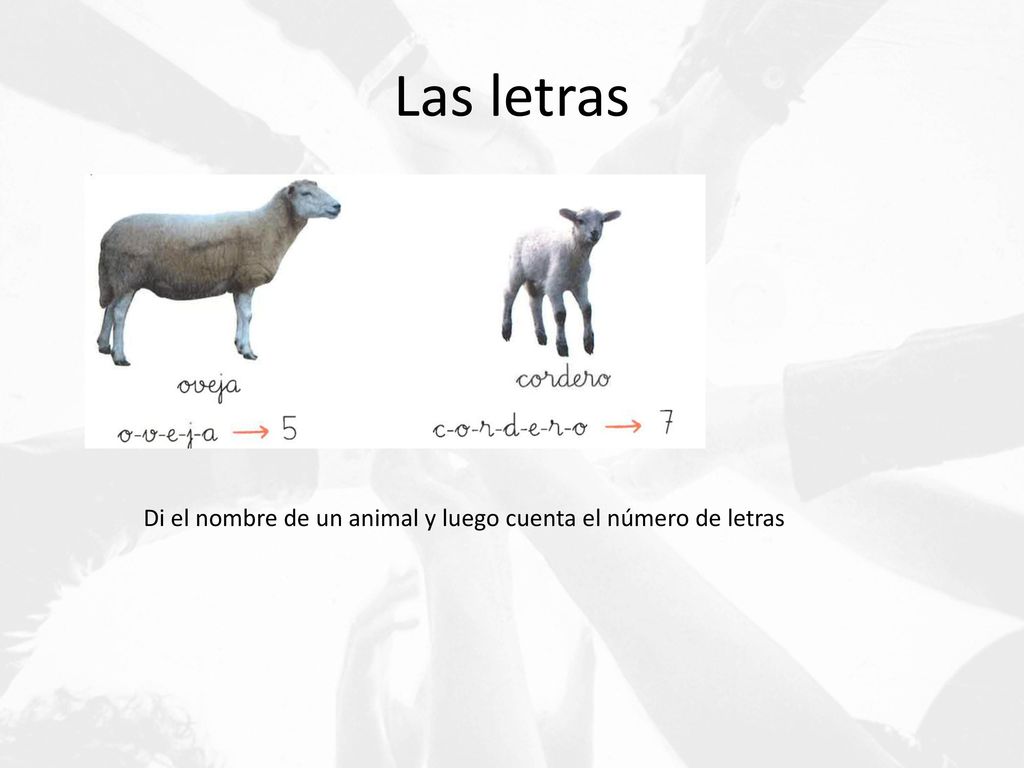 Las letras Di el nombre de un animal y luego cuenta el número de letras