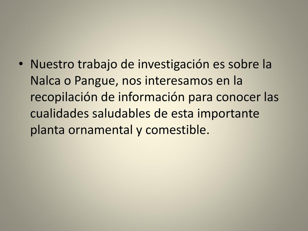 Nuestro trabajo de investigación es sobre la Nalca o Pangue, nos interesamos en la recopilación de información para conocer las cualidades saludables de esta importante planta ornamental y comestible.