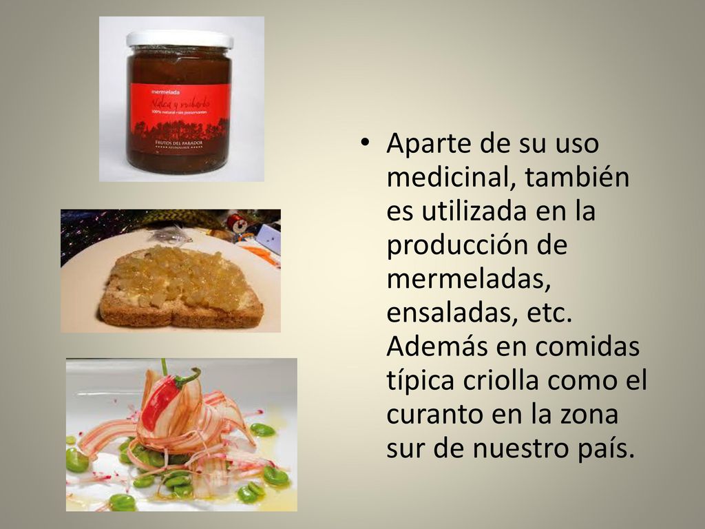Aparte de su uso medicinal, también es utilizada en la producción de mermeladas, ensaladas, etc.