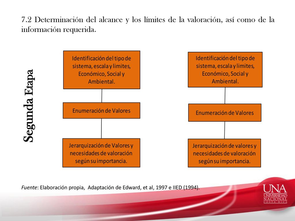 7.2 Determinación del alcance y los límites de la valoración, así como de la información requerida.