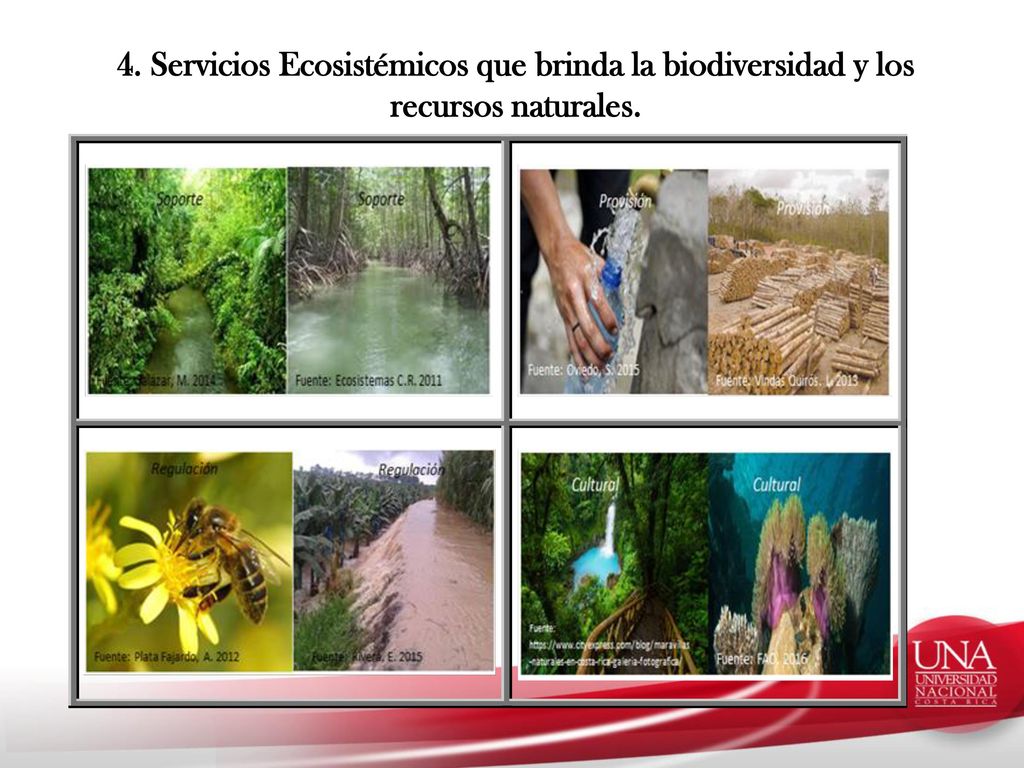 4. Servicios Ecosistémicos que brinda la biodiversidad y los recursos naturales.