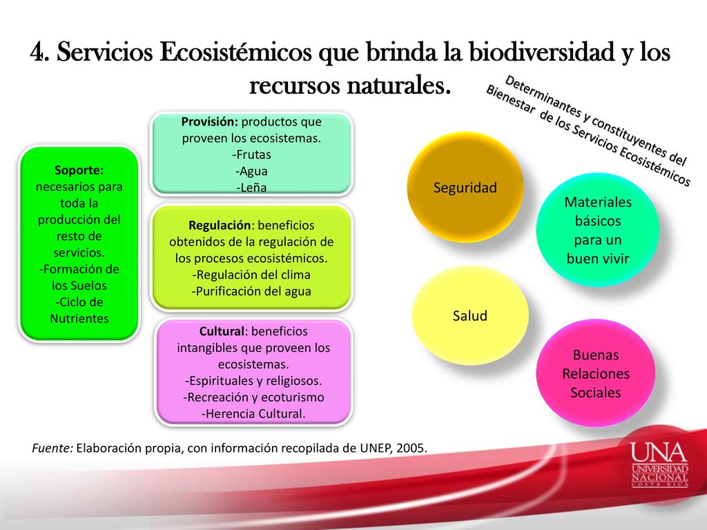4. Servicios Ecosistémicos que brinda la biodiversidad y los recursos naturales.