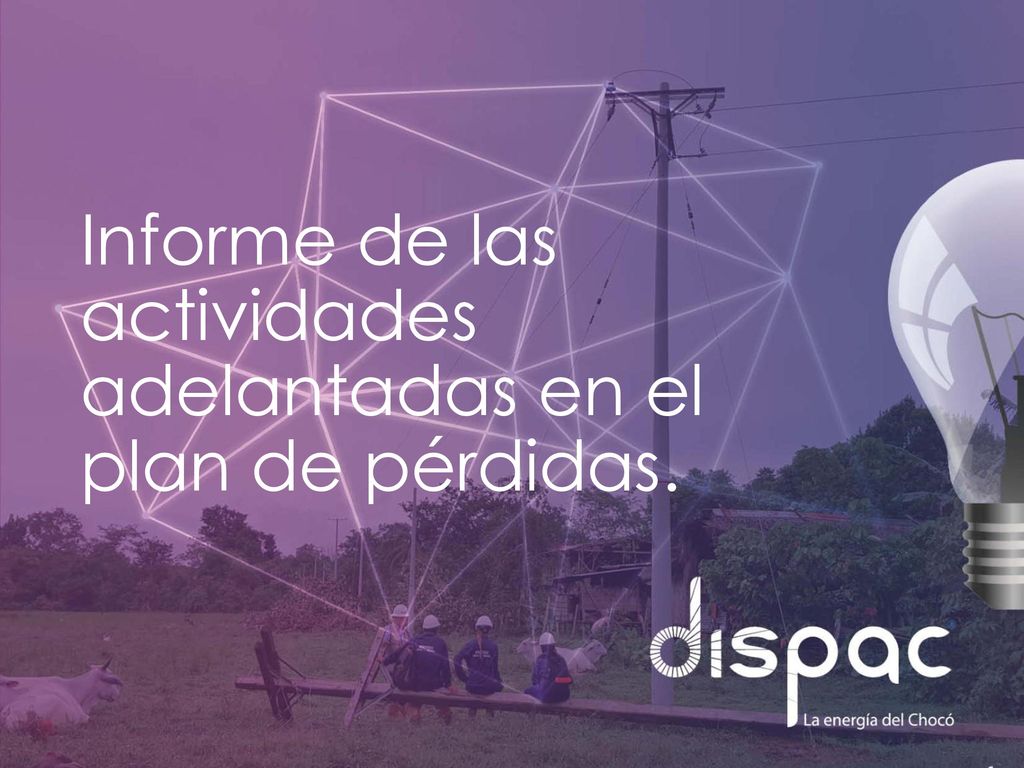 Informe de las actividades adelantadas en el plan de pérdidas.