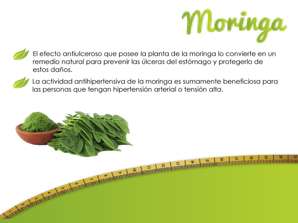 El efecto antiulceroso que posee la planta de la moringa lo convierte en un remedio natural para prevenir las úlceras del estómago y protegerlo de estos daños.