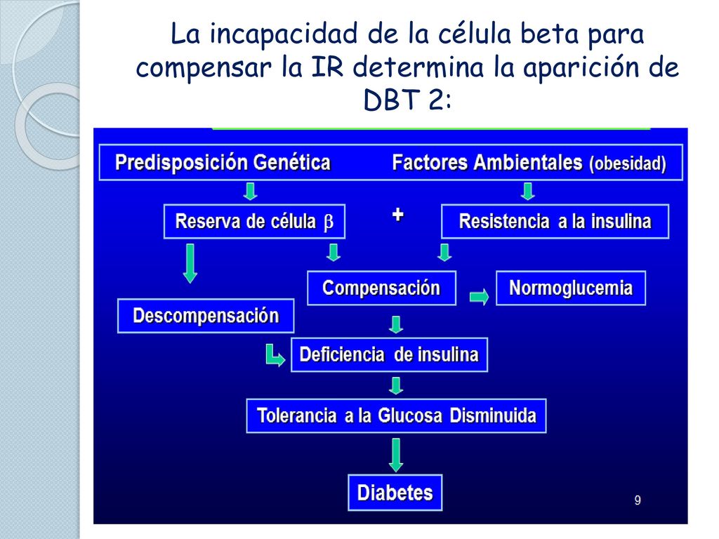La incapacidad de la célula beta para compensar la IR determina la aparición de DBT 2: