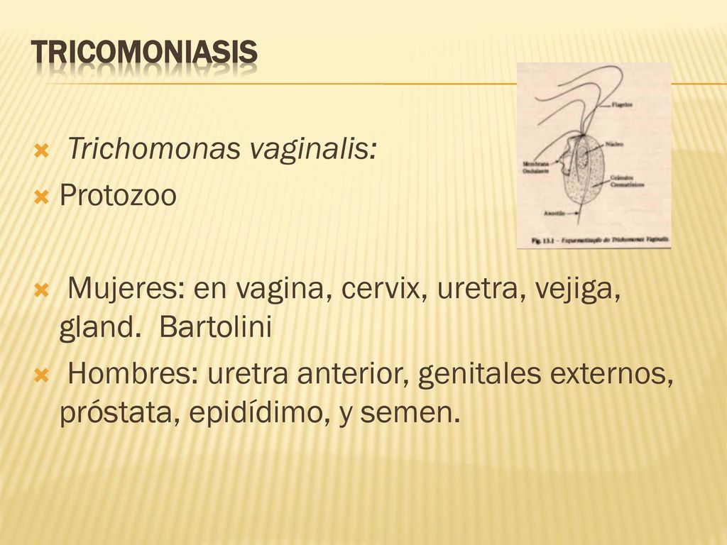 Tricomoniasis Trichomonas vaginalis: Protozoo. Mujeres: en vagina, cervix, uretra, vejiga, gland. Bartolini.