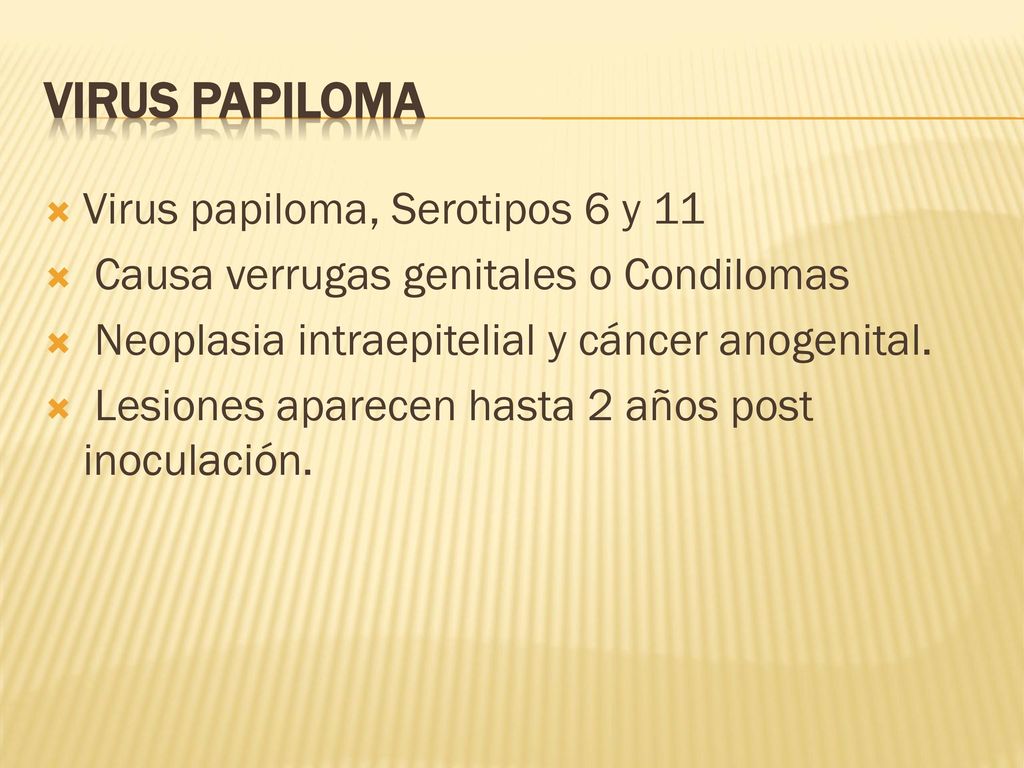 Virus Papiloma Virus papiloma, Serotipos 6 y 11