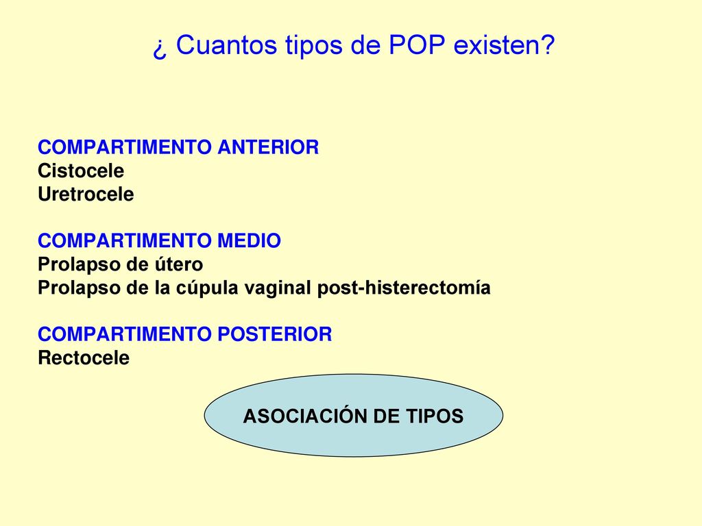 ¿ Cuantos tipos de POP existen