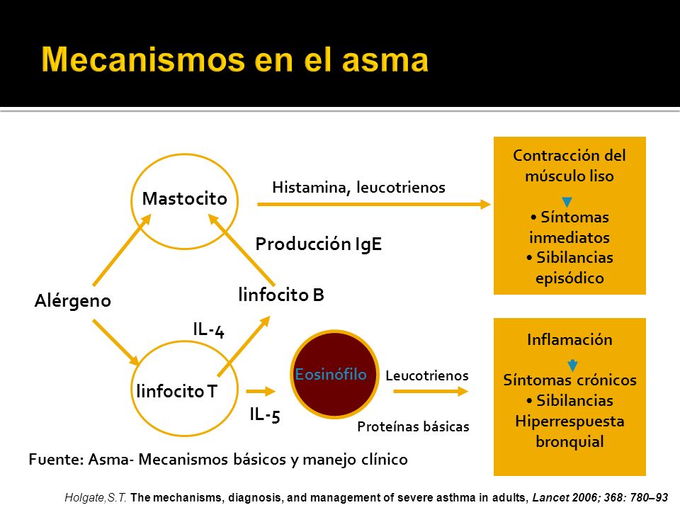 Mecanismos en el asma Mastocito Producción IgE linfocito B Alérgeno