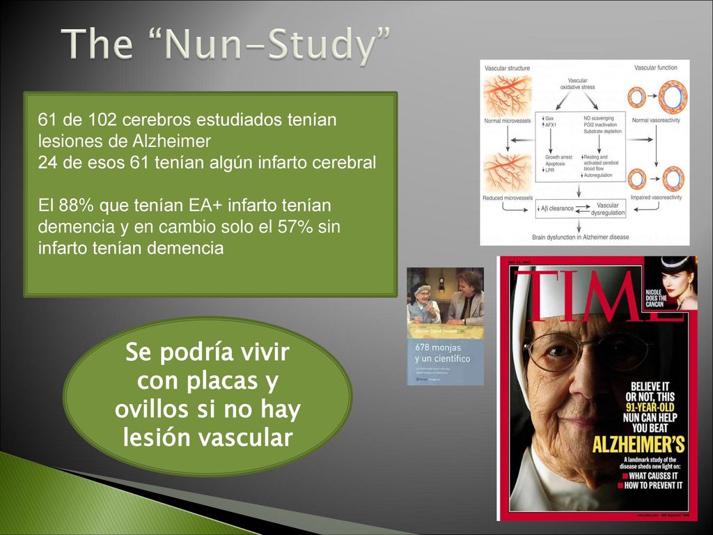 Se podría vivir con placas y ovillos si no hay lesión vascular