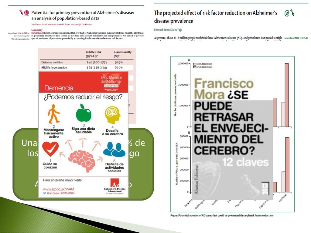 Una reducción del 10-25% de los siete factores de riesgo disminuirían en millones de casos de Alzheimer en el mundo