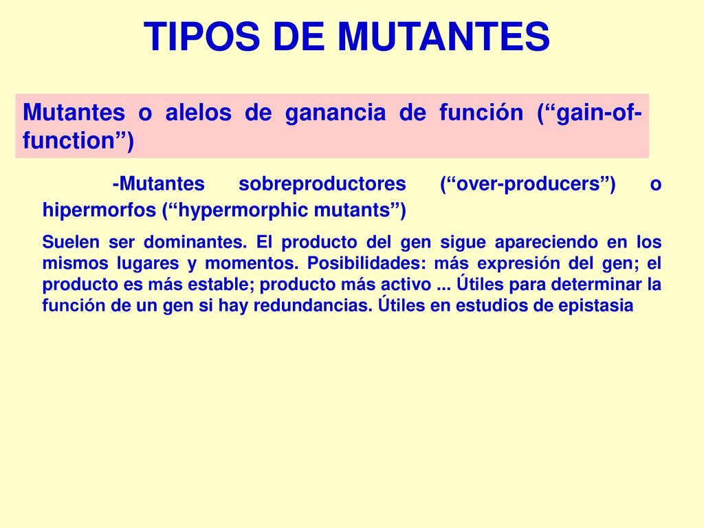 TIPOS DE MUTANTES Mutantes o alelos de ganancia de función ( gain-of-function )