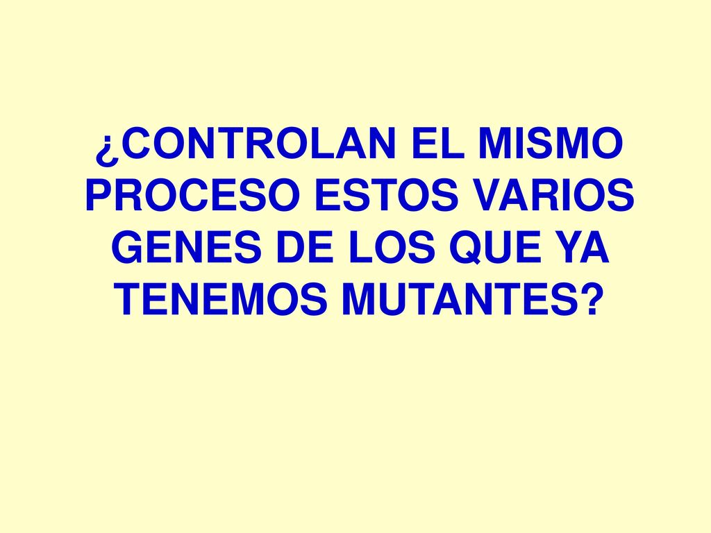 ¿CONTROLAN EL MISMO PROCESO ESTOS VARIOS GENES DE LOS QUE YA TENEMOS MUTANTES