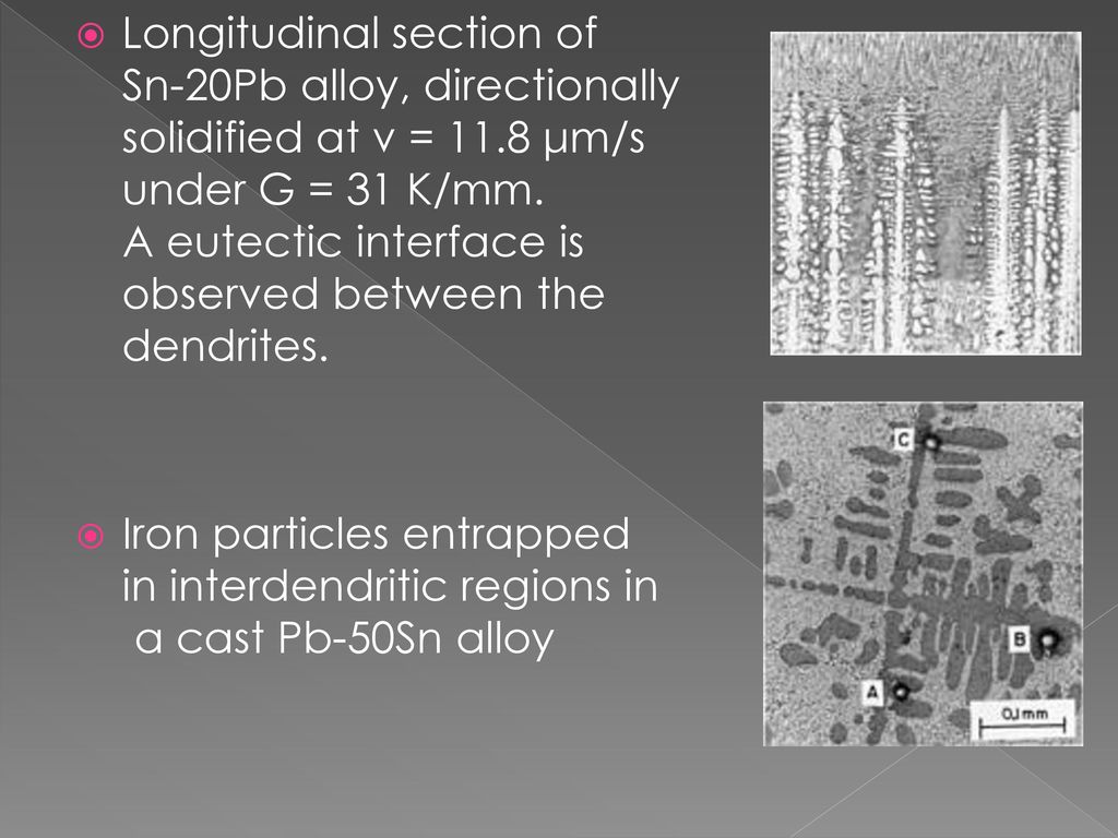 Longitudinal section of Sn-20Pb alloy, directionally solidified at v = 11.8 μm/s under G = 31 K/mm. A eutectic interface is observed between the dendrites.