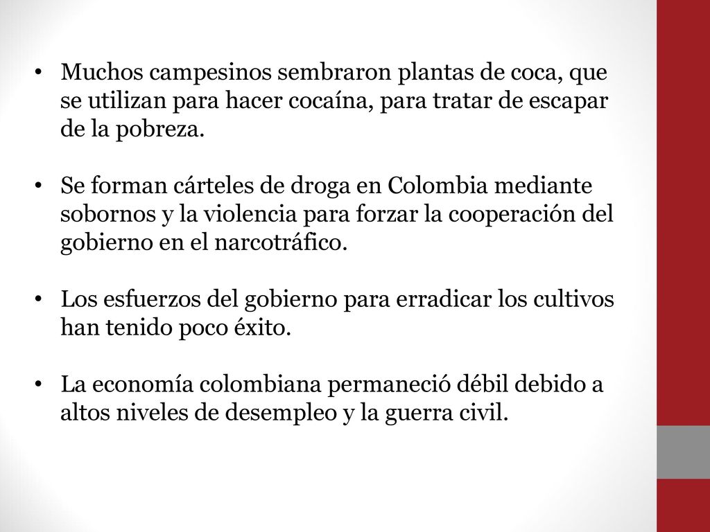 Muchos campesinos sembraron plantas de coca, que se utilizan para hacer cocaína, para tratar de escapar de la pobreza.
