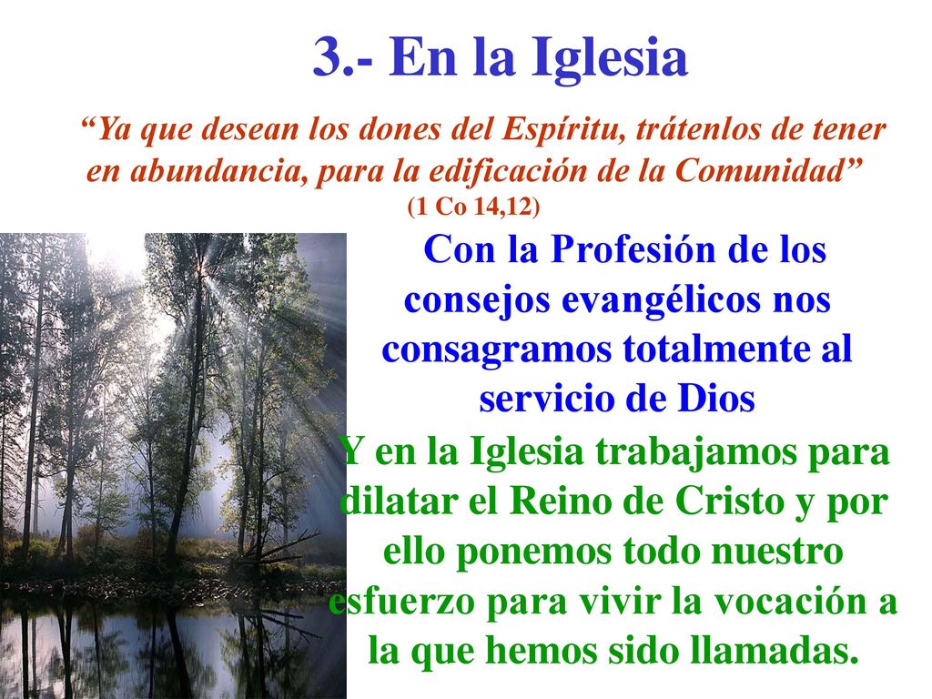 3.- En la Iglesia Ya que desean los dones del Espíritu, trátenlos de tener en abundancia, para la edificación de la Comunidad (1 Co 14,12)