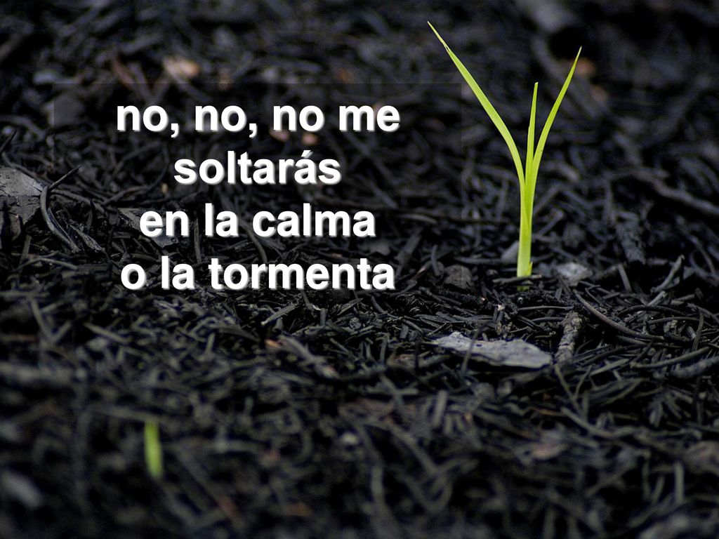 no, no, no me soltarás en la calma o la tormenta