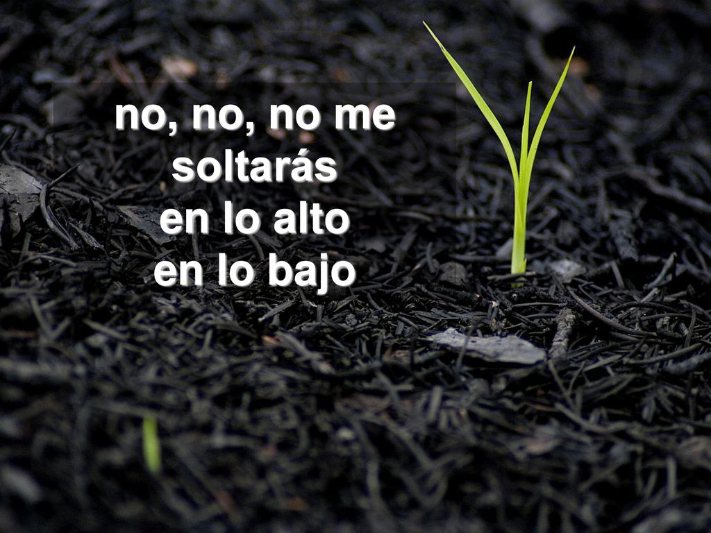 no, no, no me soltarás en lo alto en lo bajo