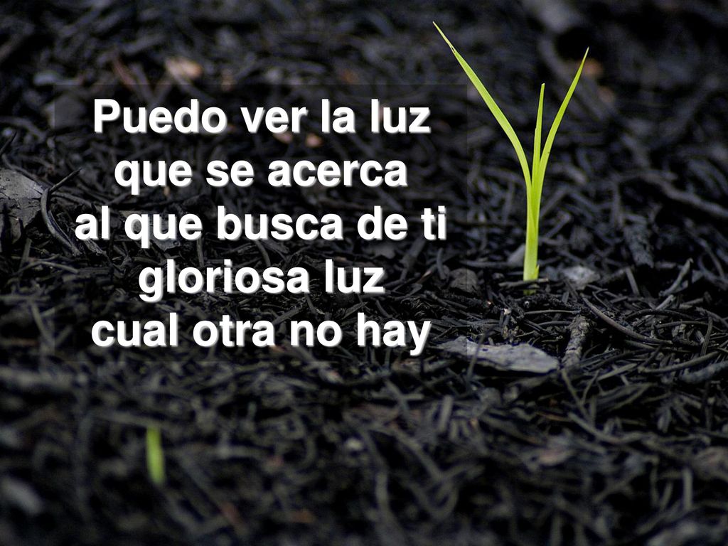 Puedo ver la luz que se acerca al que busca de ti gloriosa luz cual otra no hay