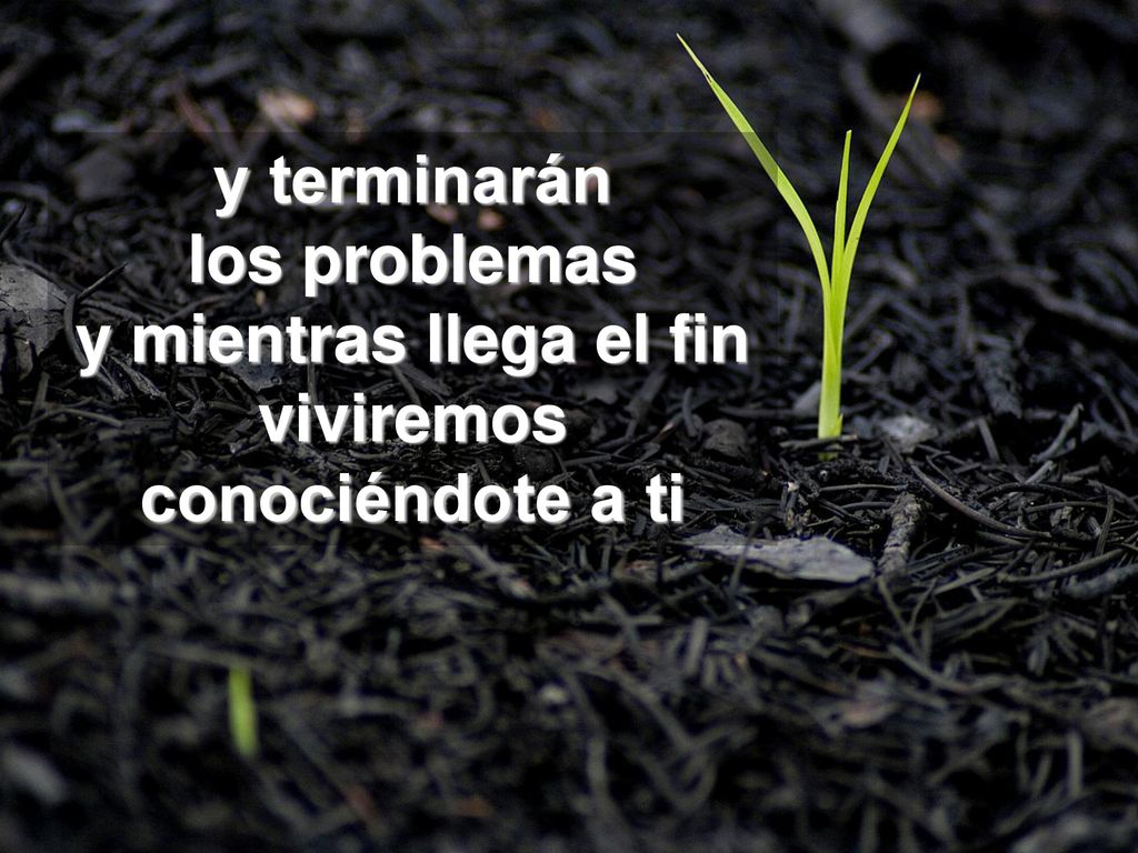 y terminarán los problemas y mientras llega el fin viviremos conociéndote a ti