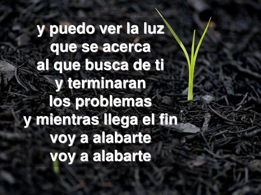 y puedo ver la luz que se acerca. al que busca de ti. y terminaran. los problemas. y mientras llega el fin.
