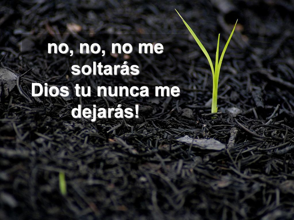 no, no, no me soltarás Dios tu nunca me dejarás!