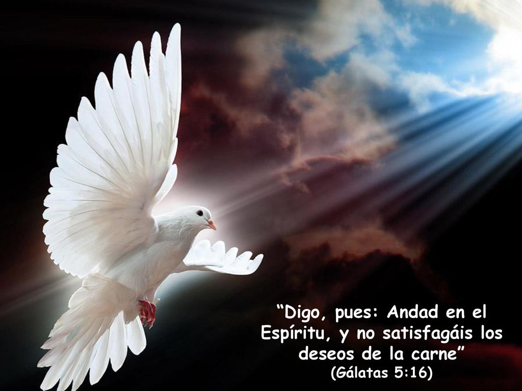 Digo, pues: Andad en el Espíritu, y no satisfagáis los deseos de la carne (Gálatas 5:16)