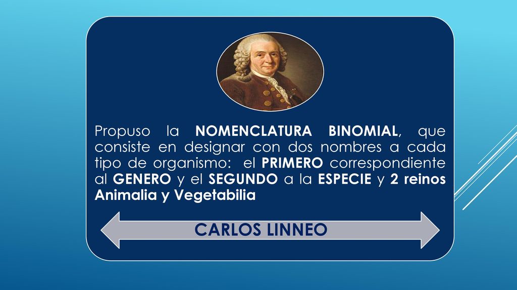 Propuso la NOMENCLATURA BINOMIAL, que consiste en designar con dos nombres a cada tipo de organismo: el PRIMERO correspondiente al GENERO y el SEGUNDO a la ESPECIE y 2 reinos Animalia y Vegetabilia