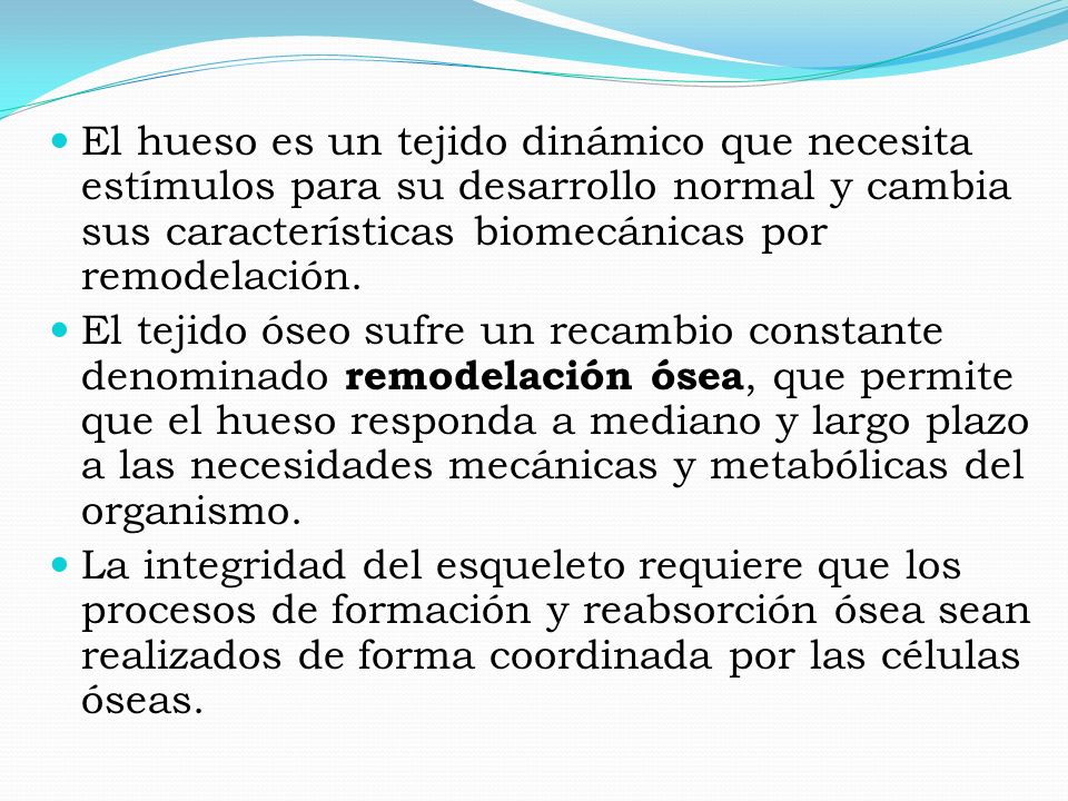 El hueso es un tejido dinámico que necesita estímulos para su desarrollo normal y cambia sus características biomecánicas por remodelación.