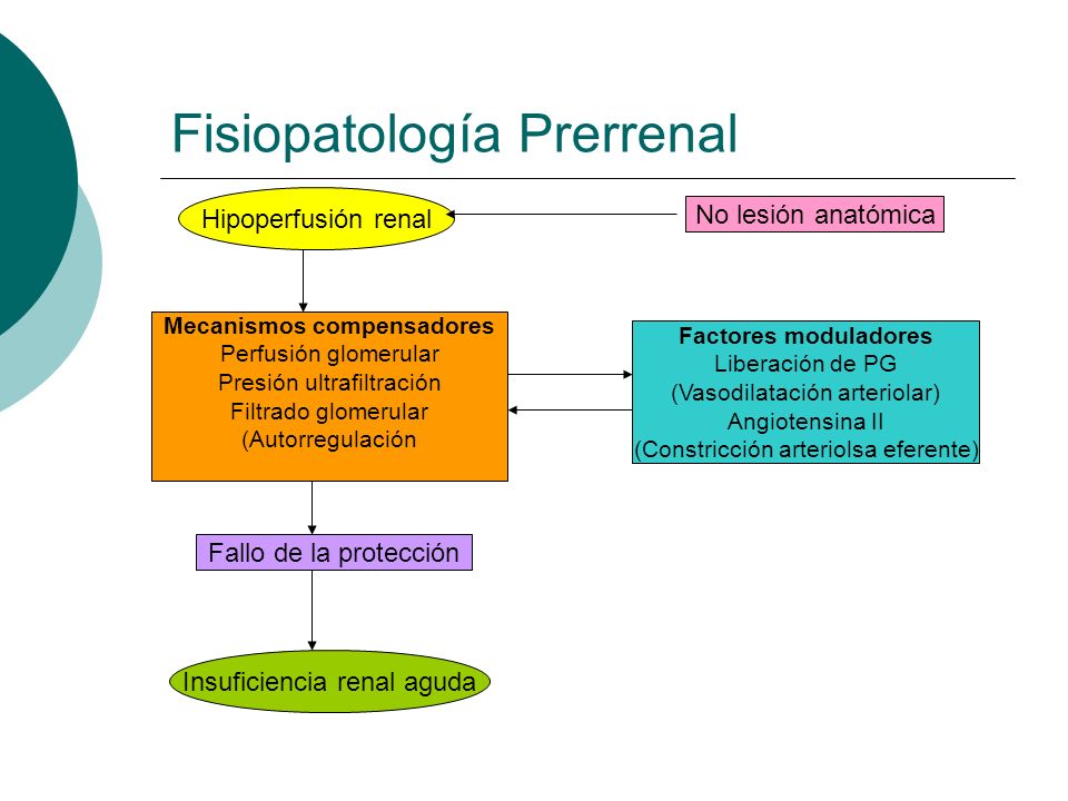 Fisiopatología Prerrenal