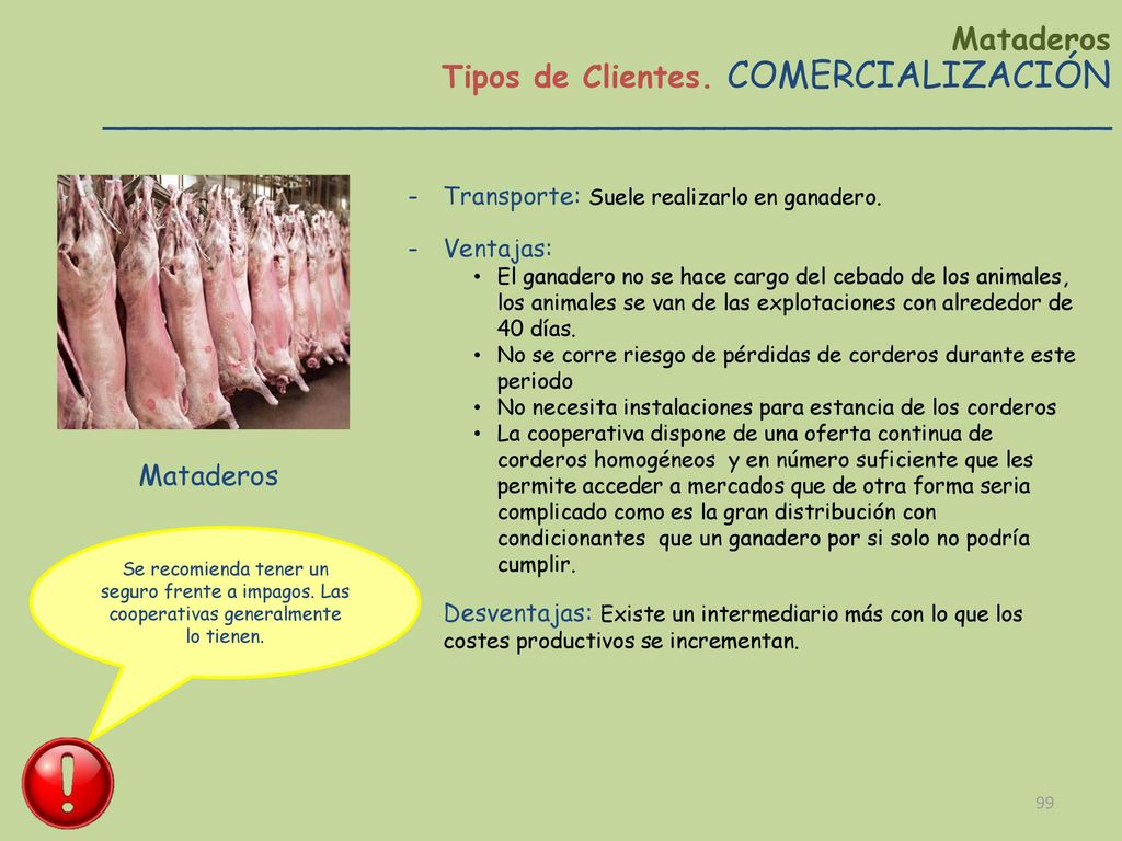 Mataderos Tipos de Clientes. COMERCIALIZACIÓN _______________________________________________.
