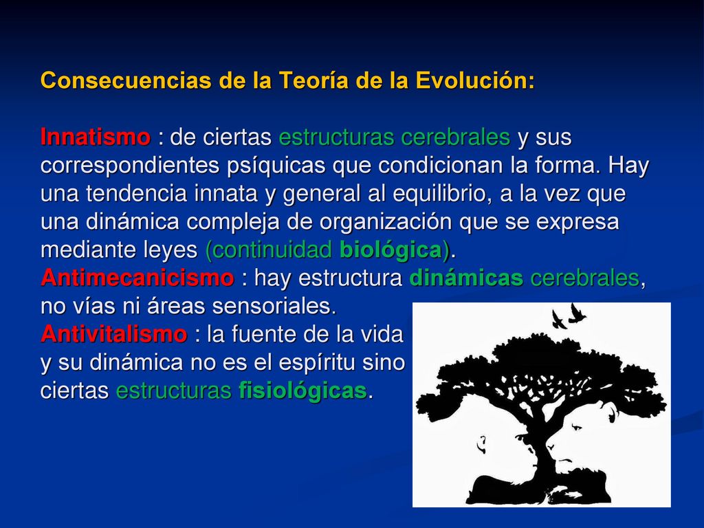 Consecuencias de la Teoría de la Evolución: Innatismo : de ciertas estructuras cerebrales y sus correspondientes psíquicas que condicionan la forma.