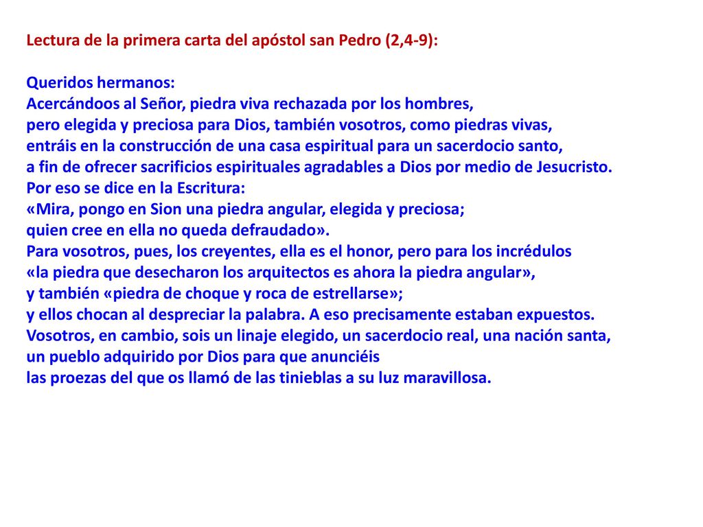 Lectura de la primera carta del apóstol san Pedro (2,4-9): Queridos hermanos: Acercándoos al Señor, piedra viva rechazada por los hombres,