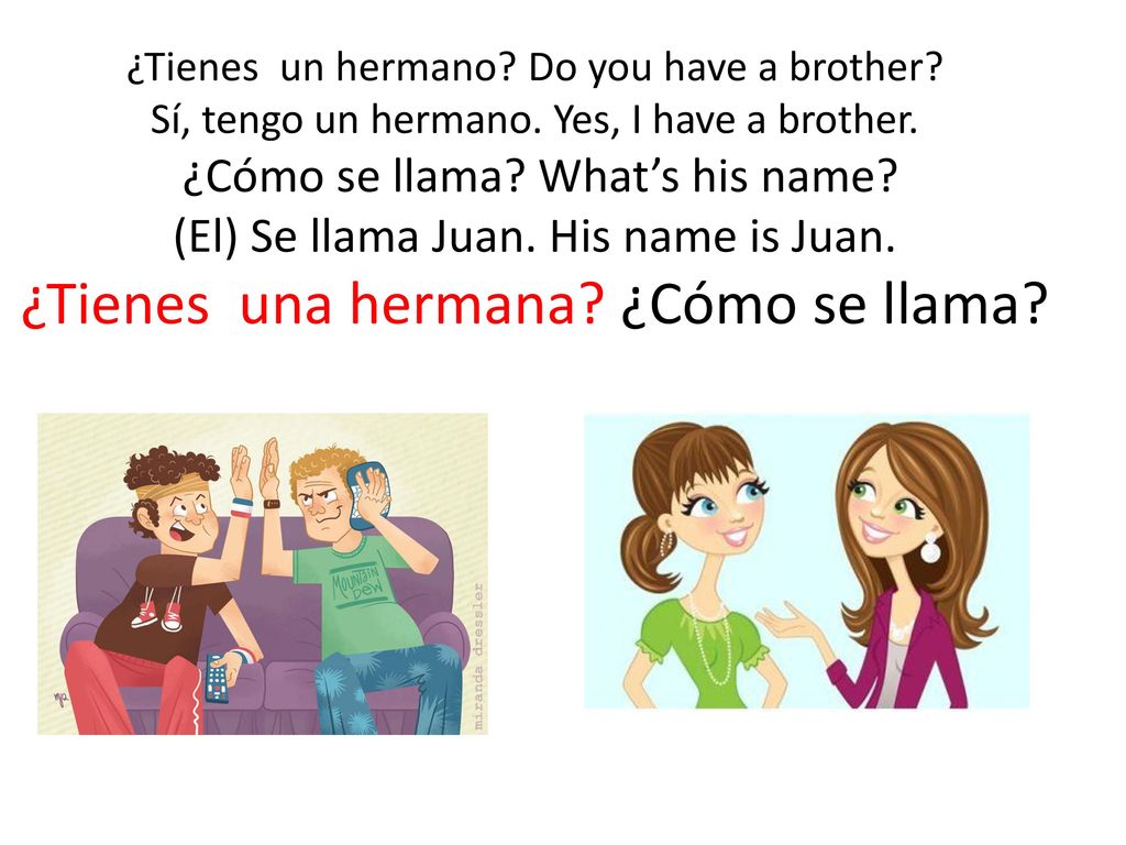 ¿Tienes un hermano. Do you have a brother. Sí, tengo un hermano
