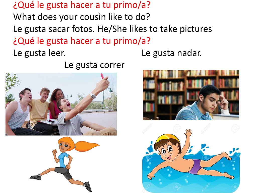 ¿Qué le gusta hacer a tu primo/a. What does your cousin like to do